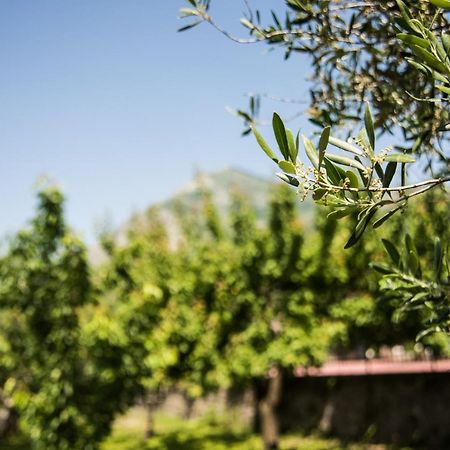 Casa Vacanza Dal Cavaliere Montesarchio エクステリア 写真