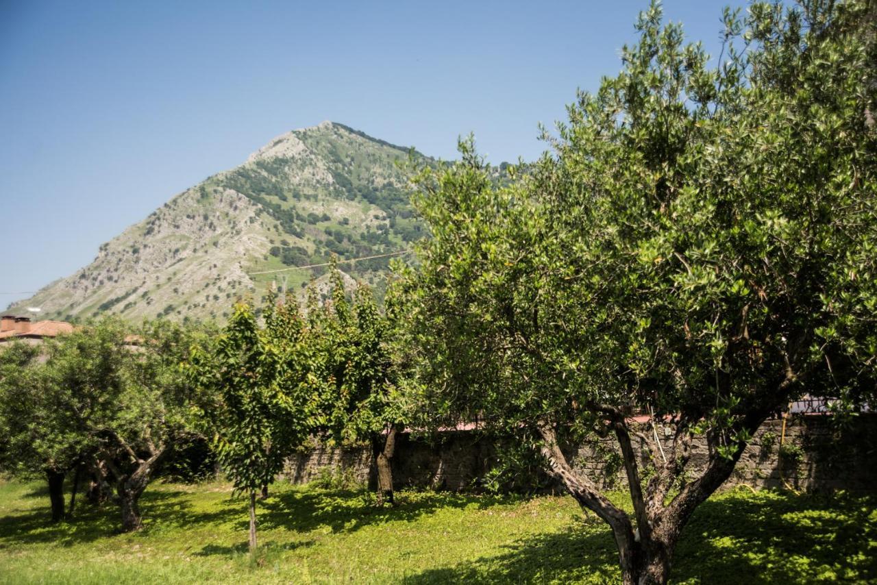 Casa Vacanza Dal Cavaliere Montesarchio エクステリア 写真