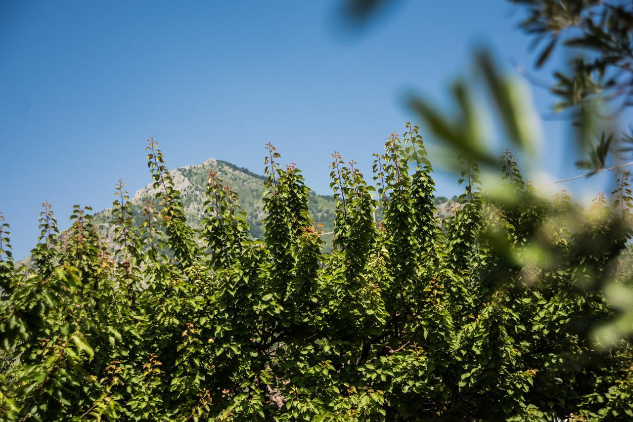 Casa Vacanza Dal Cavaliere Montesarchio エクステリア 写真